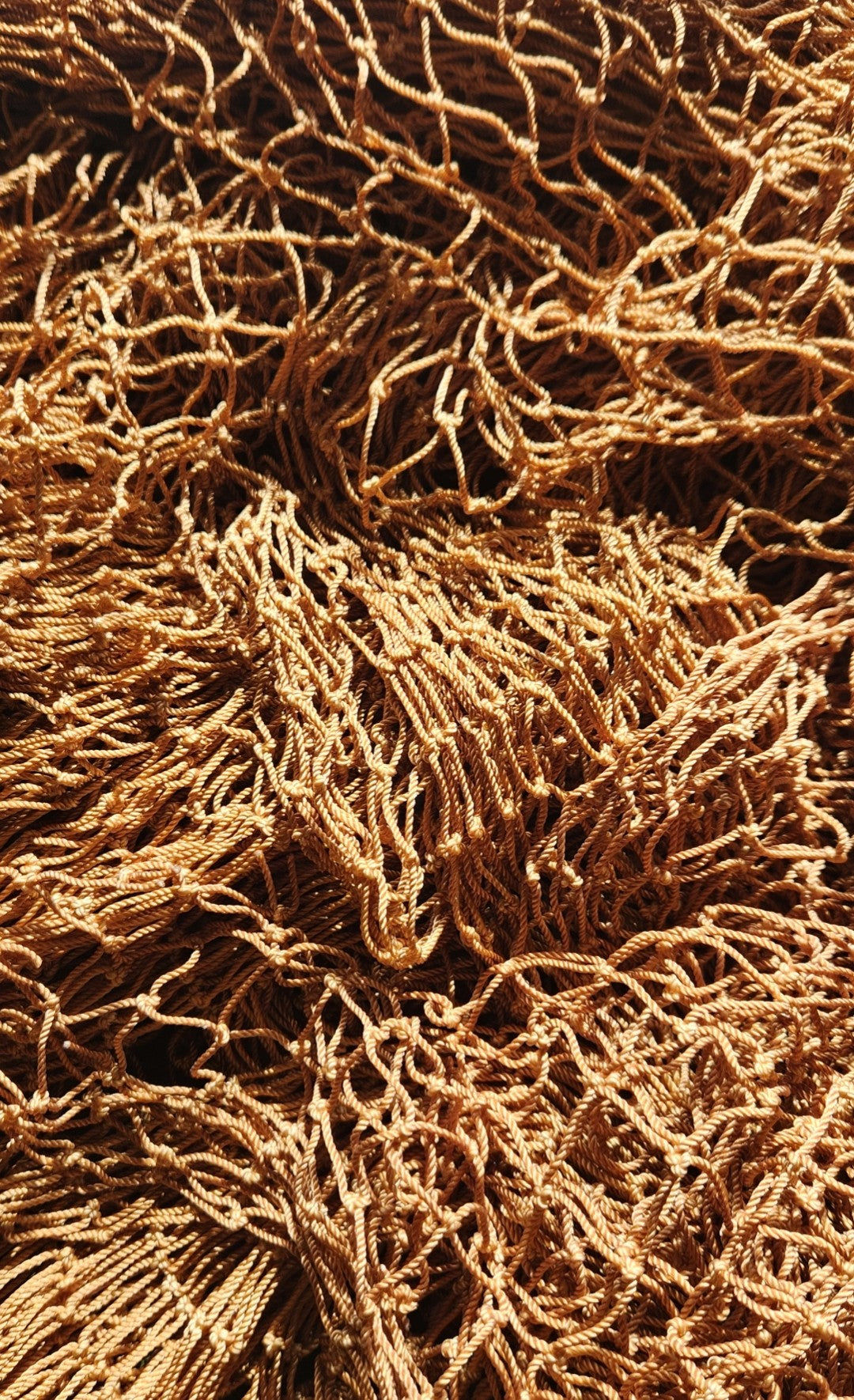 Knotted 1":  Nautical Brown color, 7'W x 65'L