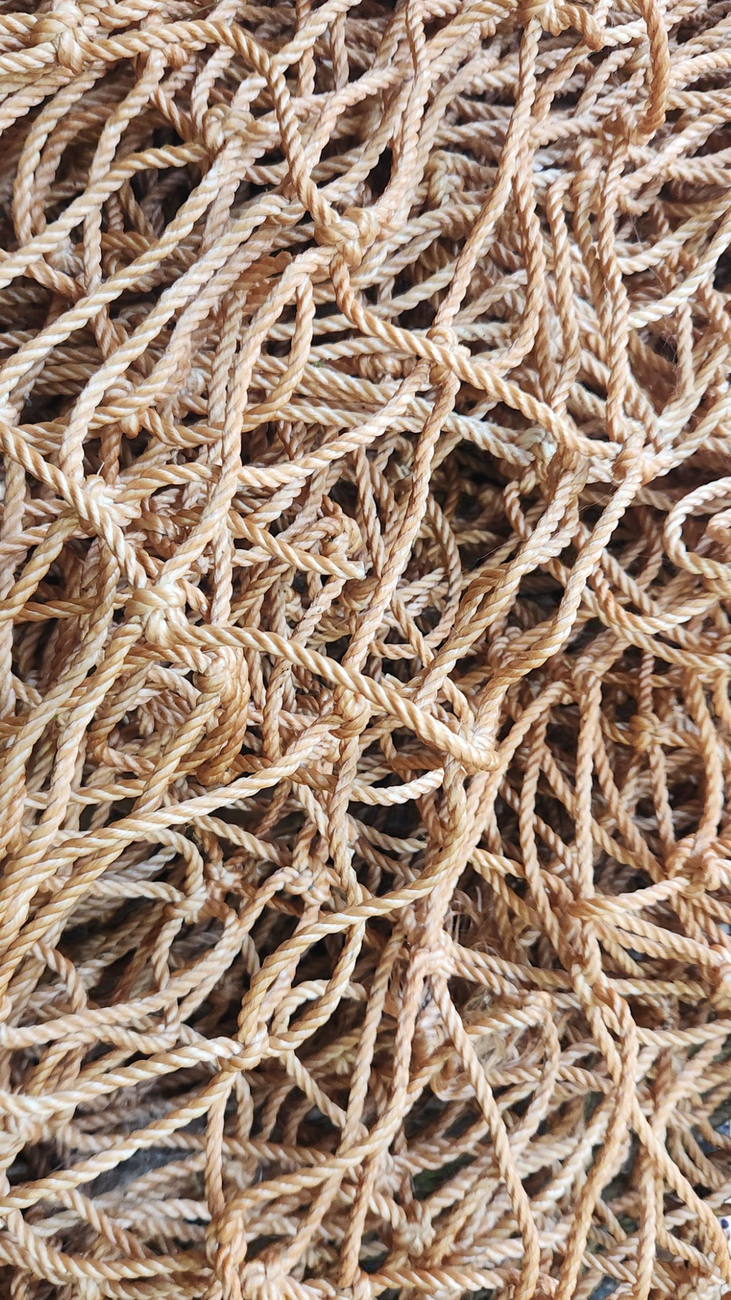 K96-3":  Nautical Brown color, 3' x 25'L