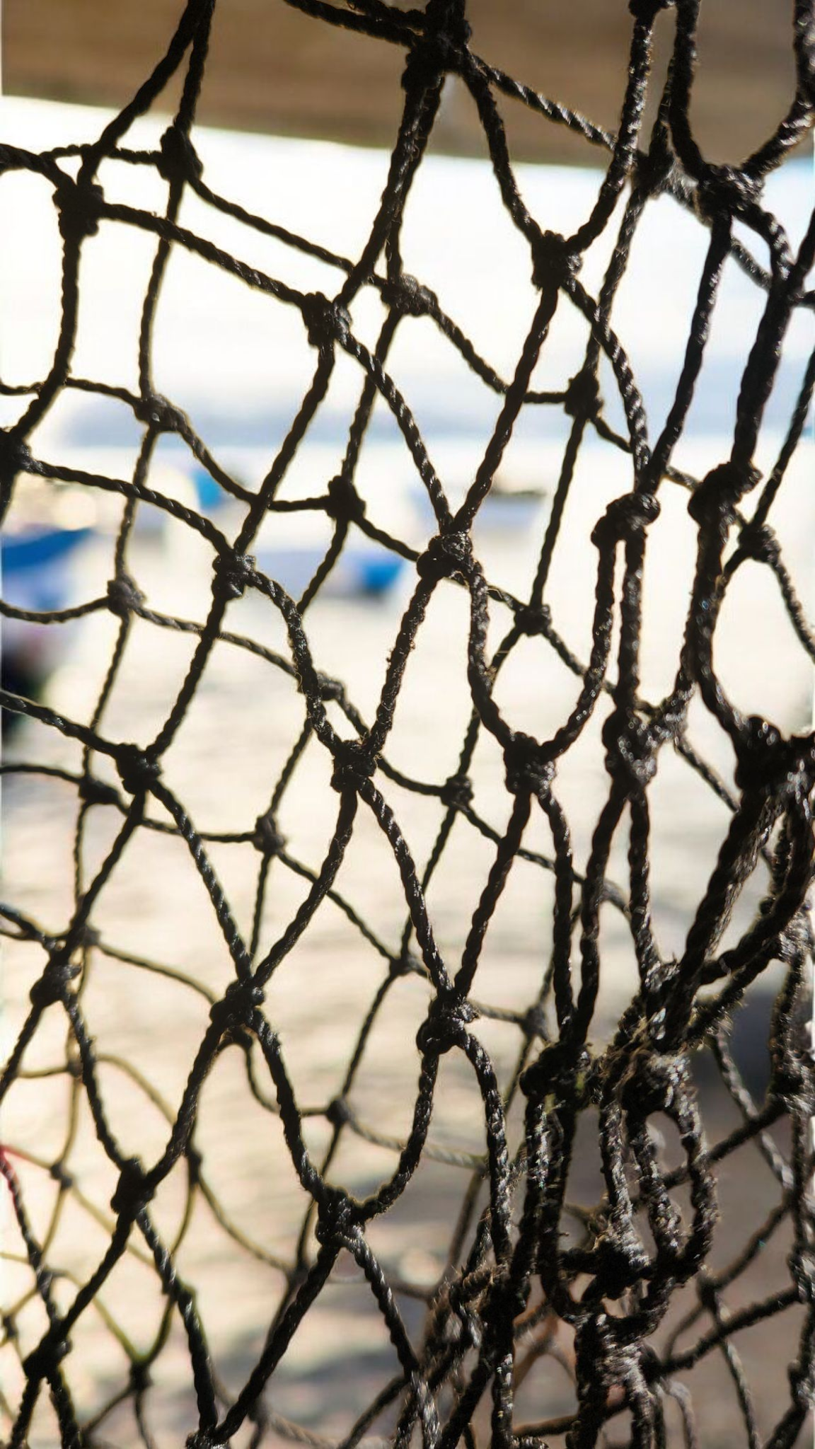 Knotted #18 Netting, Black, 20'W x 80'L