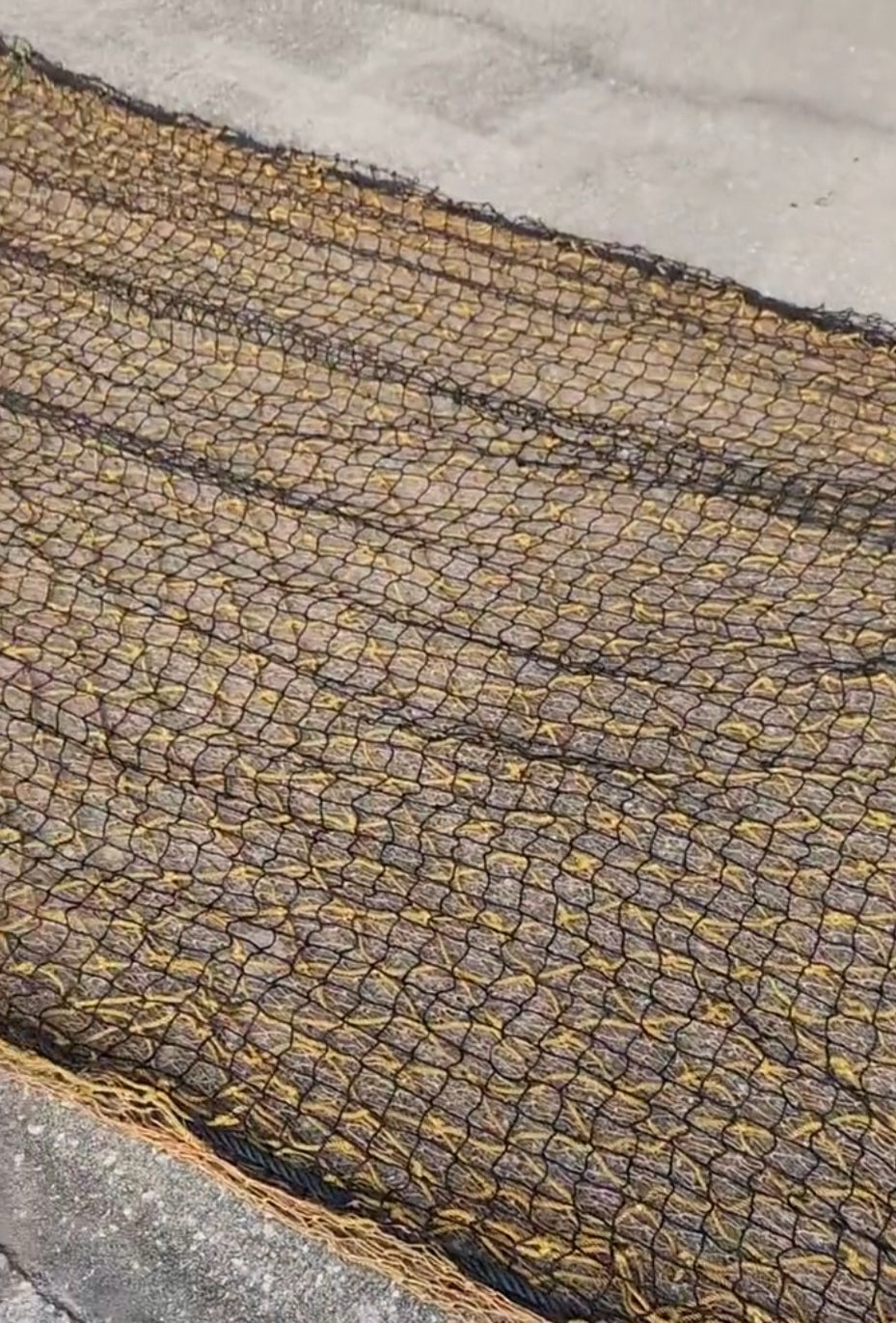 Family-size three-layer hammock